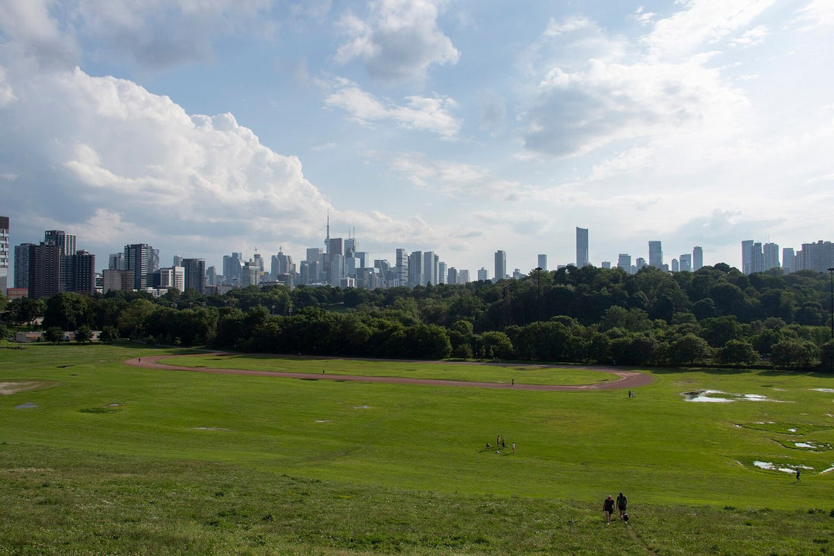 Toronto skyline from Riverdale Park